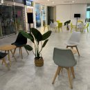 누네조은안경원 이미지