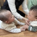 새로이밥상 이미지