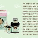네츄럴마마 네이버블로그