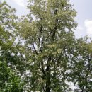 대성농장(5) 이미지