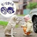 칭찬 이미지
