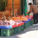 온누리태권도장 이미지