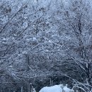 미사강변리버스위트칸타빌.리슈빌 | 티비설치 전문업체 베스트 단디맨티비달고에서 미사강변리버스위트칸타빌 무타공 티비설치했어요~!