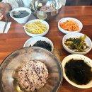 최루백로 | 화성봉담맛집 정원쭈꾸미 점심 오픈런 후기 하루 4시간 영업 ㅎ ( 핏, 정원카페 - 작은정원이있는카페 ㅎ)