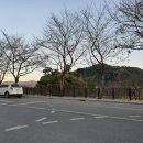 꽃단지 화장실 이미지