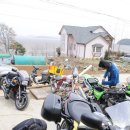 로시난테 이미지