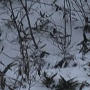 차항1리경로당 이미지