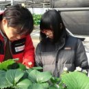 으뜸합기도체육관 이미지