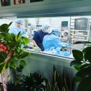 두루동물병원 이미지