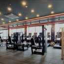 브이 피트니스 이미지