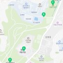 남산 벚꽃길 / 남산 북측 순환로/ 와룡묘[25.04.09]