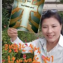 임마누엘광고 Daum카페