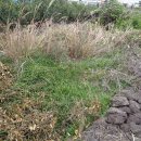 대정문화체육센터 이미지