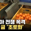 (주)곰할인마트 이미지