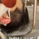 이로운헤어 이미지