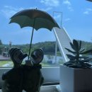 레이지보스 이미지