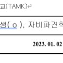 23년 1학기 핀란드 탐페레공과대학 (TAMK, Tampere university of applied science) 후기