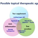새로운 안구건조증 관리요법 이미지