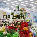 평택 고덕 다이소/다이소에 봄이오다/다이소는 지금 봄