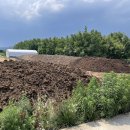 낙동강변15 이미지