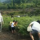 고사리민박 이미지