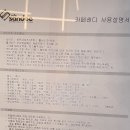 샌디(sandee) 네이버블로그