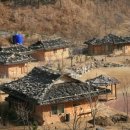 삼척 너와마을 Daum카페