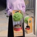 청포농원 이미지