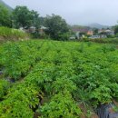 덕치리 마을회관 | [홍보] 지리산 해발 560미터 고원지대에 있는 노치마을 방문 후기