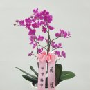 신월동192 이미지