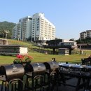 베어스 타운 이미지