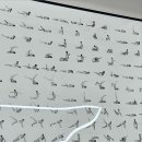 미국뉴욕클래식필라테스 - 연제구 반송로 30 | 미국뉴욕클래식필라테스