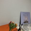 [제품/리뷰] 백예린 LP 판매처 정리 및 구매 성공 후기 (있었는데요, 없었습니다.)