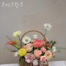 코지크란츠