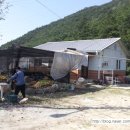 박광수농장 이미지