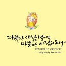 그것 참 별꼴이야 / 백만송이 장미 / 표창장으로 의사 될 순 없어-조민 이미지