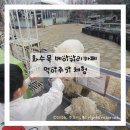 카페화수목 | 천안 화수목 아이랑 가볼 만한 곳, 베이커리카페 + 먹이주기 체험 후기 (아름다운정원화수목 후기)
