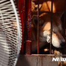 황구건강원 이미지