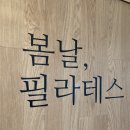 봄날테라피 | 도봉역 봄날필라테스에서 에너지테라피와 자이로토닉 1:1 운동 후기