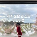 까치울마을1단지주차장 | 중문 야크마을 리조트 리빙스위트 후기｜아기랑 제주 숙소