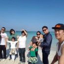 도식농장 이미지