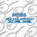 (주)삼신 | [임신준비] 건강한 엄마되기 프로젝트(영양제, 삼신할매스무디, 다이어트…)