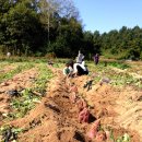 태균농장 이미지