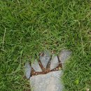 박달농장 이미지