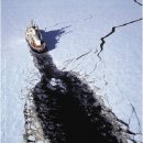 엡솔루트 이미지