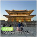 가좌1-05-026 | 2026년 설날 연휴 아이와 서울 가볼만한곳 경복궁 무료입장!