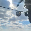 더클리프 이미지