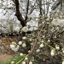 늘푸른펜션민박 이미지