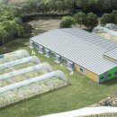 마이크로알지에스크어스 이미지