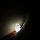 스푼글램핑